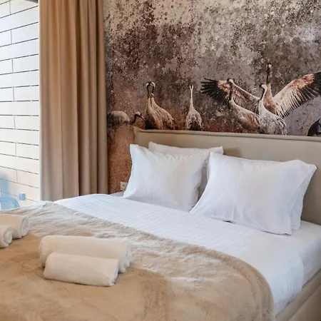 Pratum 43 Mikołajki